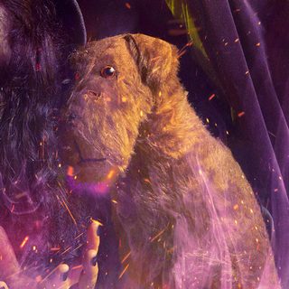 Doug, the dog from Rough Magic